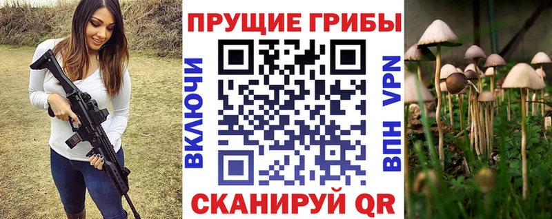 Галлюциногенные грибы Cubensis  Норильск 